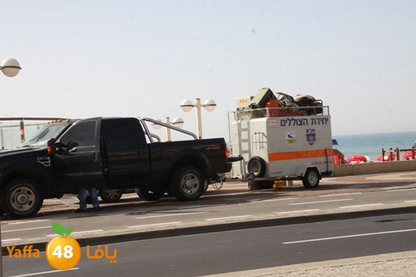 3reeqnorthyaffa407 (7).JPG